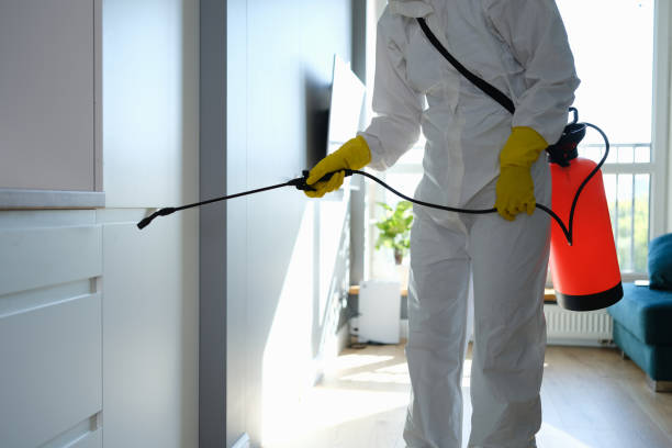 Trusted Crawfordville, FL Mold Remediation Experts