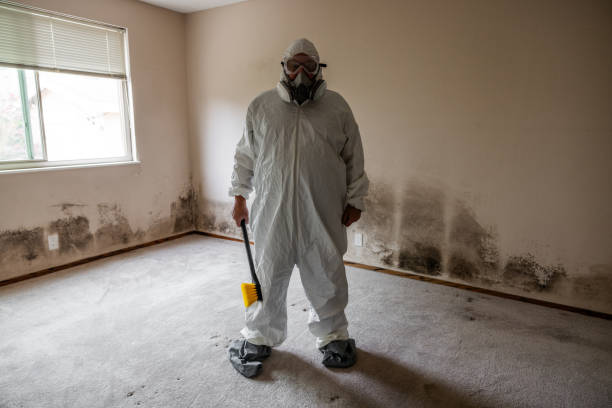 Best Mold Testing and Inspection Services in Crawfordville, FL